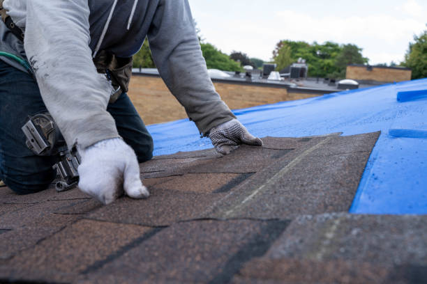 Trusted St Joseph, MI Roofing Contractor Experts