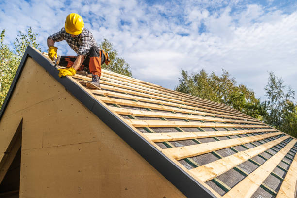 Best Roof Gutter Cleaning  in St Joseph, MI