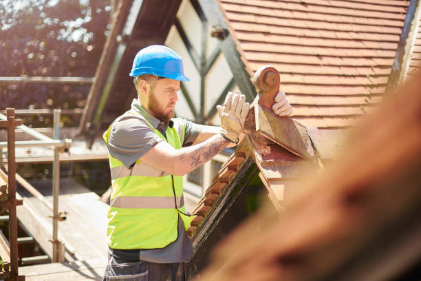 Best Residential Roofing Contractor  in St Joseph, MI
